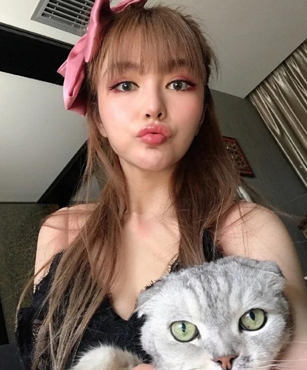 西安哪里有卖猫咪:探索古城中的毛茸茸小伙伴