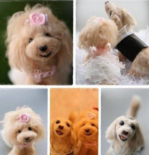 避免狗狗兴奋:打造和谐宁静的宠物生活